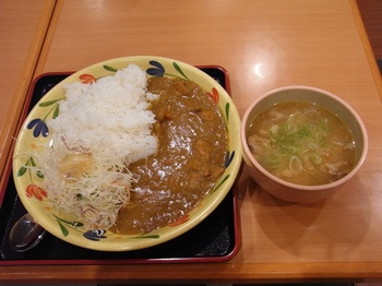 curry_土山sa_2009.jpg